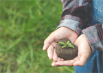 Conversatorio: El Acuerdo de Escazú, reflexiones desde la Ecología Política y el Derecho Ambiental