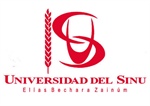 Clases Espejo y Cursos COIL con la Universidad del Sinú, seccional Cartagena