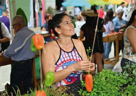 Cultivos comunitarios de plantas alimenticias nativas en las zonas rurales del Quindío