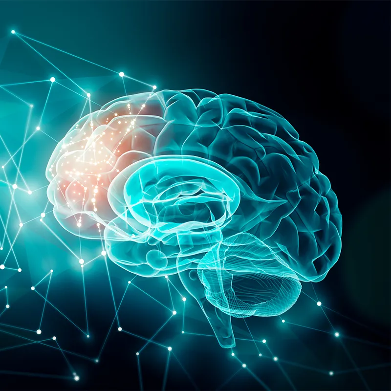 Actualización en Funciones Ejecutivas